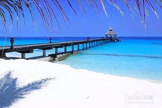 柬埔寨旅游实用信息攻略—吃喝玩乐游购一篇搞定