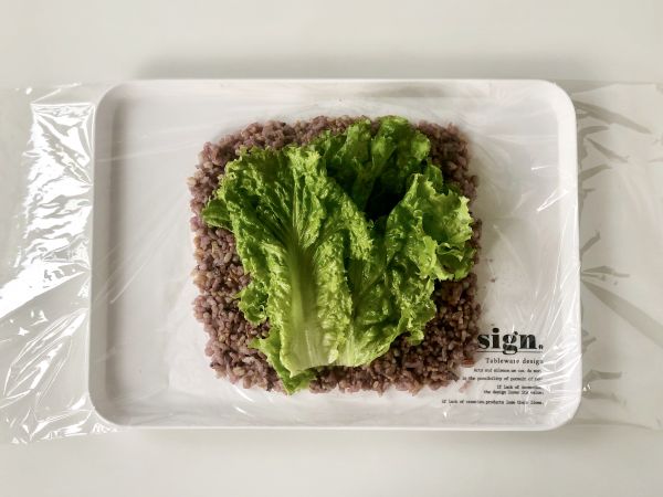 午餐肉杂粮饭团