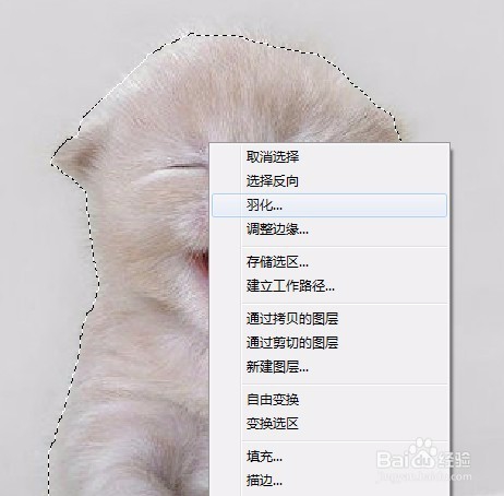 如何让图片中的物品发光