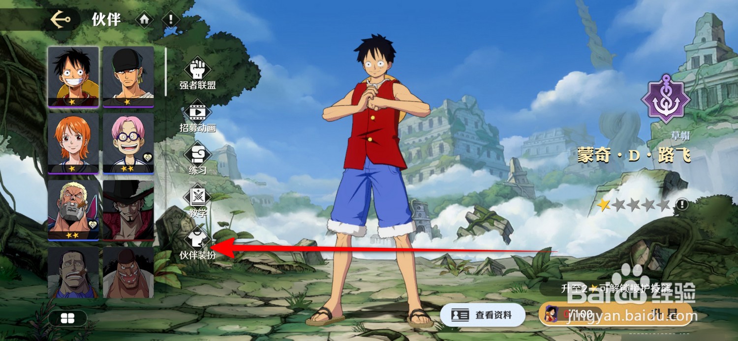 航海王壮志雄心伙伴装扮在哪