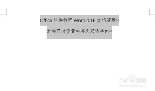 Word2016怎样同时设置文档内的中英文字体？
