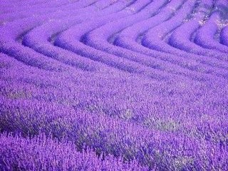 怎样从学生对某种颜色的喜爱中了解其性格的差异