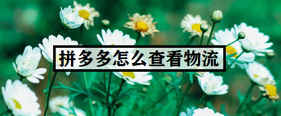 拼多多怎么查看物流