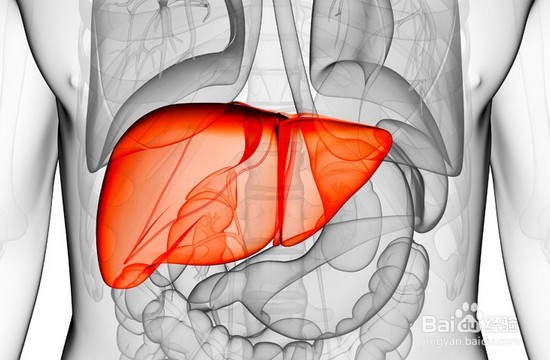 夏季有利于保护肝脏的饮食习惯