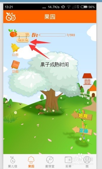 脉果儿果园教程