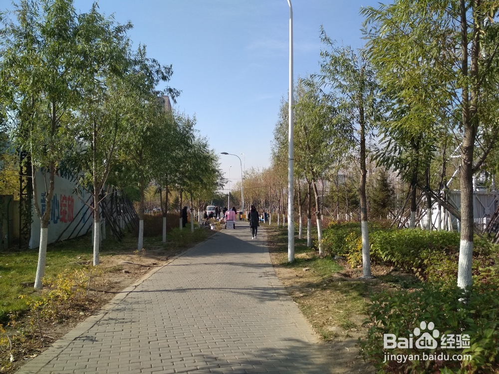 怎么去沈阳桃仙机场便宜（有轨电车去机场详解）