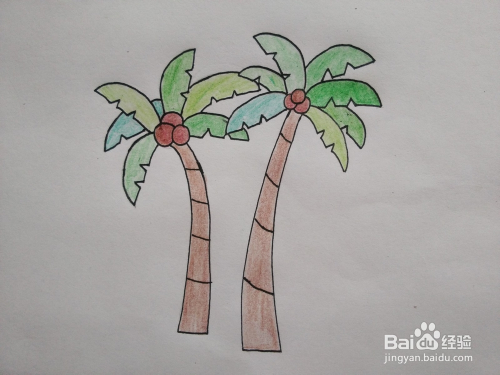 简笔画——怎么画椰子树
