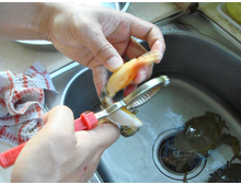 清蒸螃蟹de做法