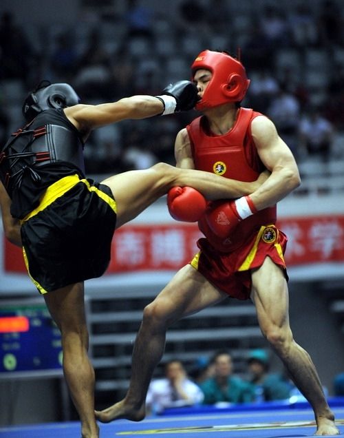 散打的动作要领