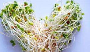 衣服发霉怎么办?