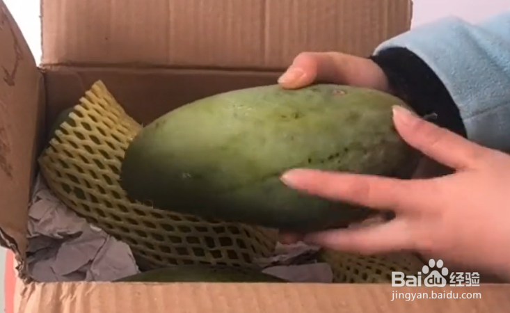 3个快速催熟芒果的小妙招