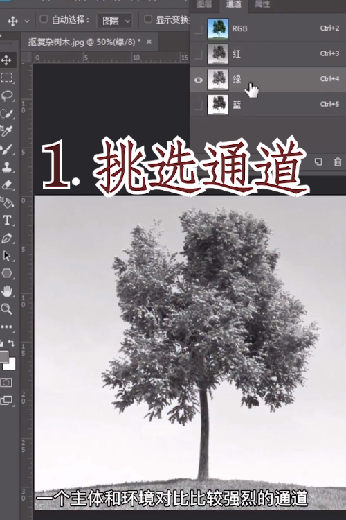 教你通道抠图