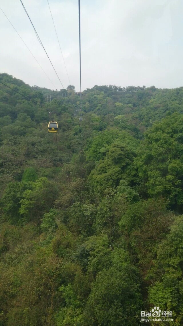 广州白云山风景区