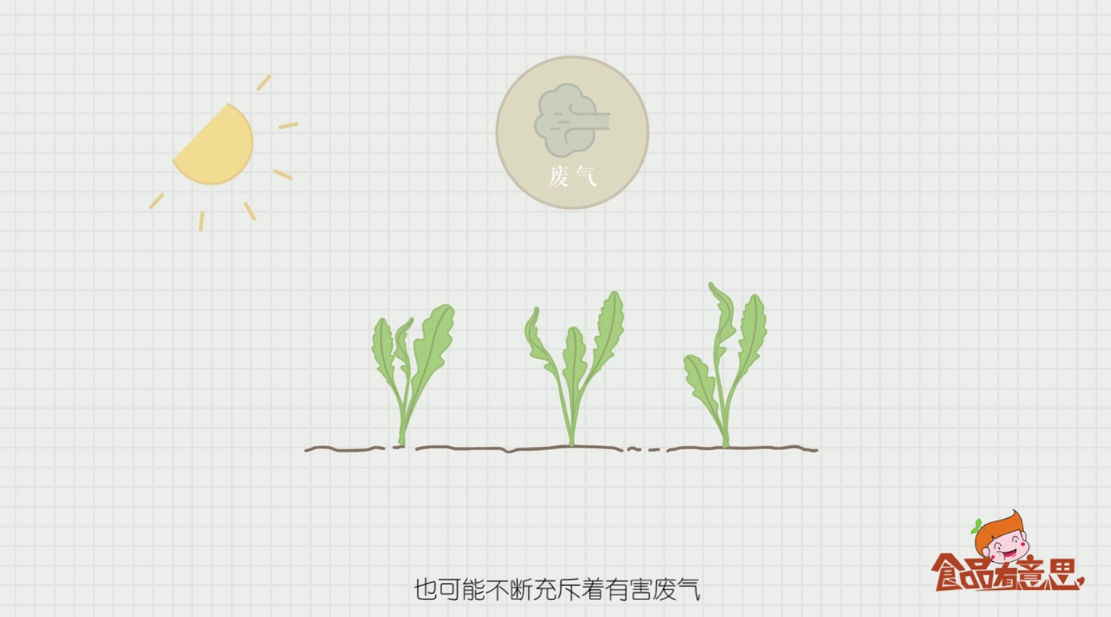 如何区别野菜与绿色食品