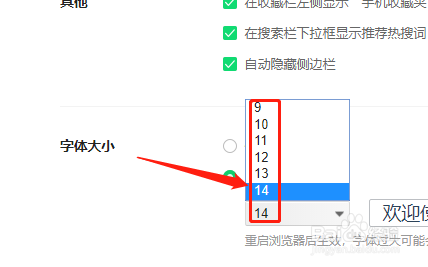 360安全浏览器如何设置自定义字体的大小