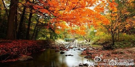 马云说:人要有梦想,失败是成功的财富