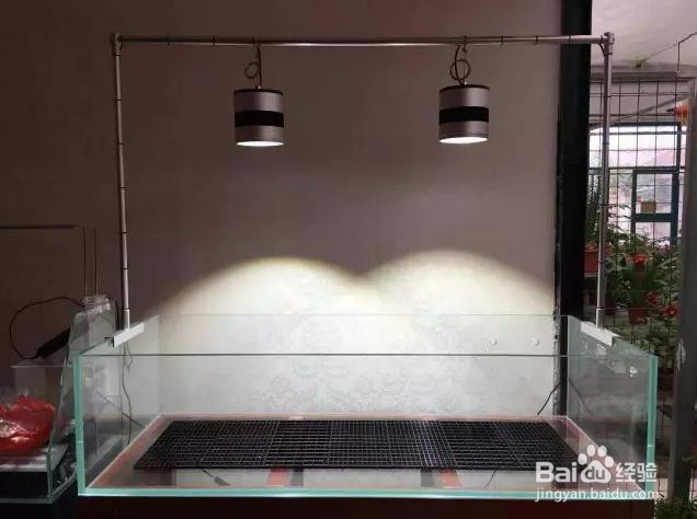 1.2米鱼缸造景教程