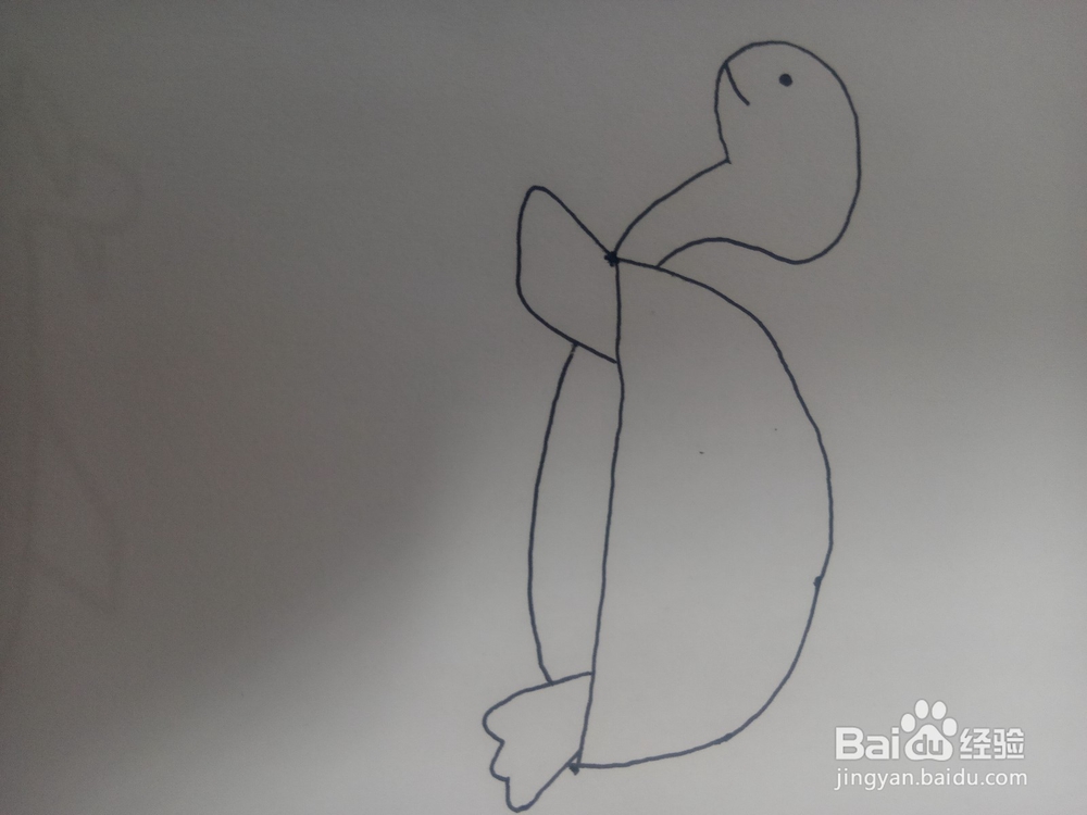 小乌龟简笔画教程