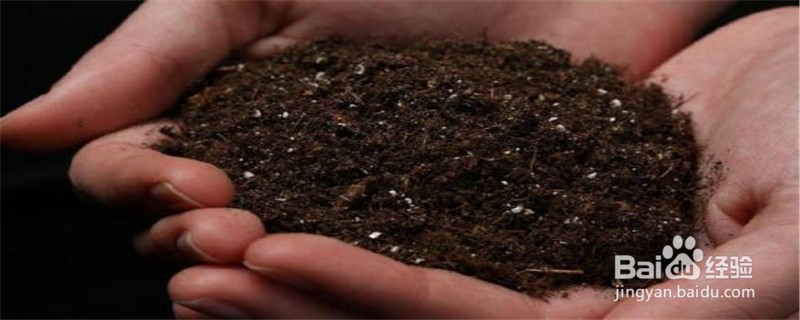 土壤消毒杀菌的最好方法