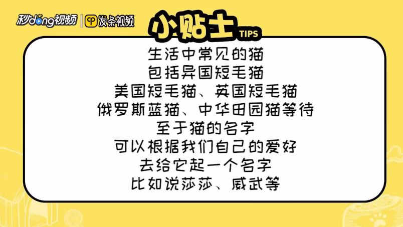 宠物猫的名字有哪些