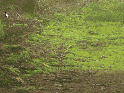 如何使用Fences让你的桌面不再一团糟