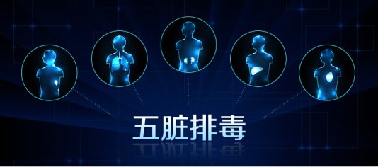 身体毒素含量多少一个小测试便知道