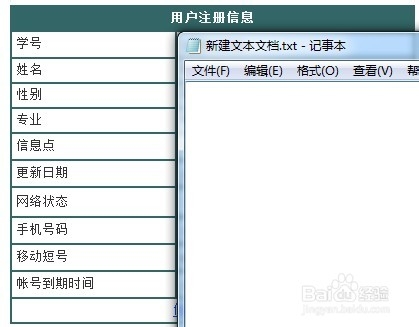 中大南方之上网篇
