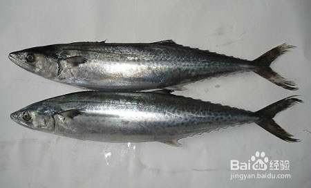 自制鲜美鲅鱼丸子