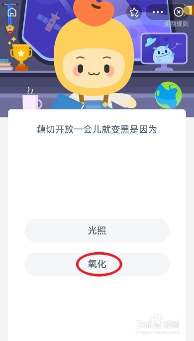 蚂蚁新村4月30日答案最新