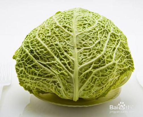 各器官最喜欢的食物