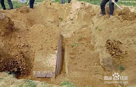 移坟后旧坑如何处理