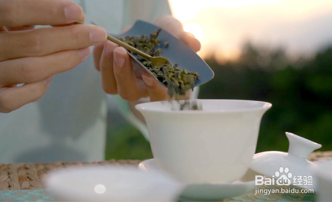 怎么泡铁观音茶