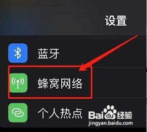 苹果12怎么设置4g网络?