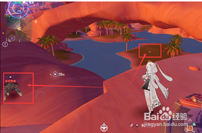 幻塔森林蜘蛛在哪