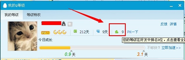 怎么看qq等级排行榜
