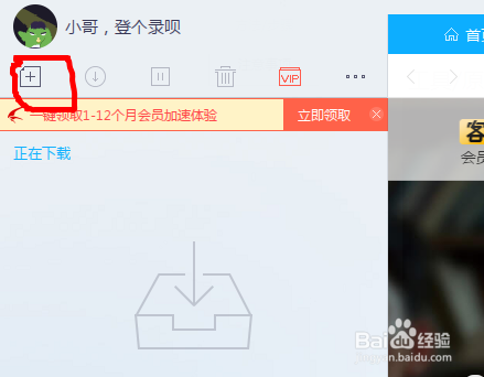 怎么用迅雷进行网页批量下载