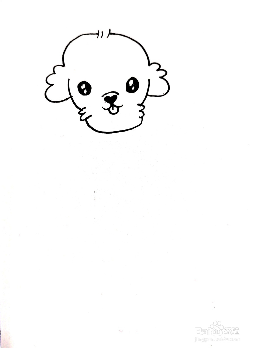 适合3-6岁的小泰迪幼儿简笔画