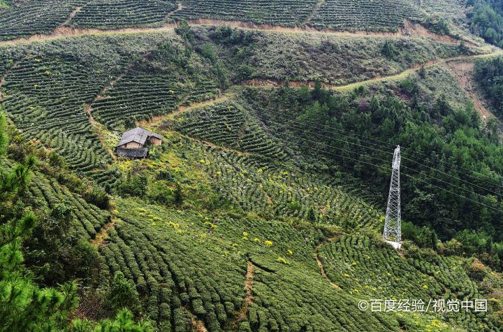 为什么冬眠的动物可以不吃不喝