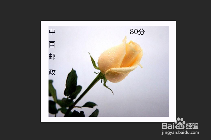 如何将照片ps成邮票？