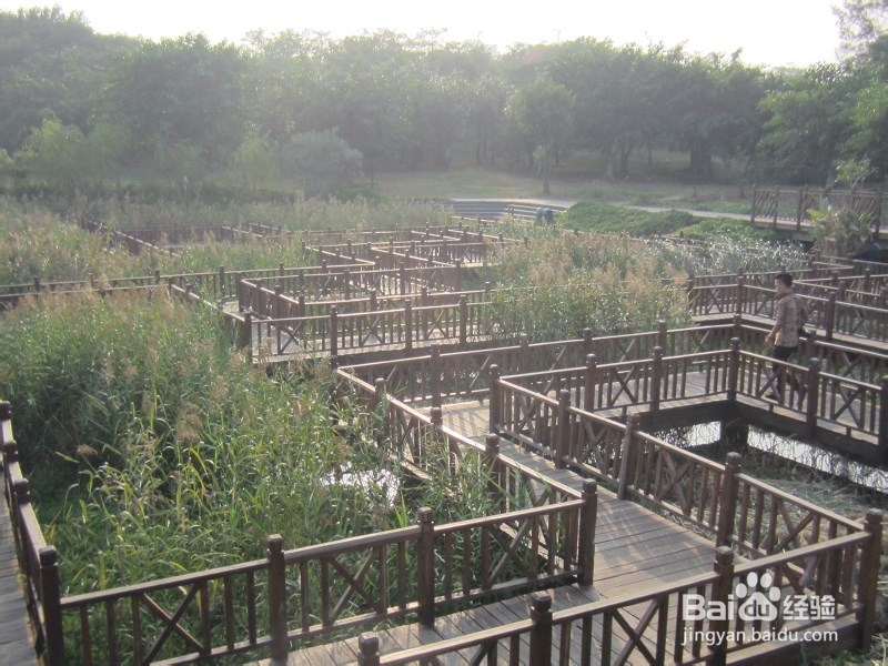 厦门五缘湾湿地公园好玩吗
