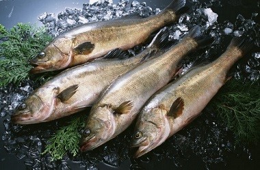 冰箱如何正确划分温度区域存放相应的食物