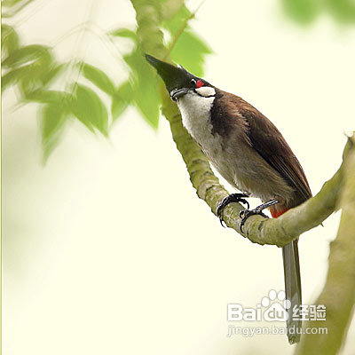 摄影基础理论：镜头篇