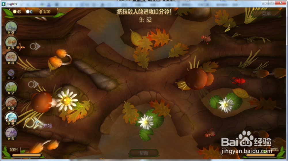 虫虫大作战—湿地攻略