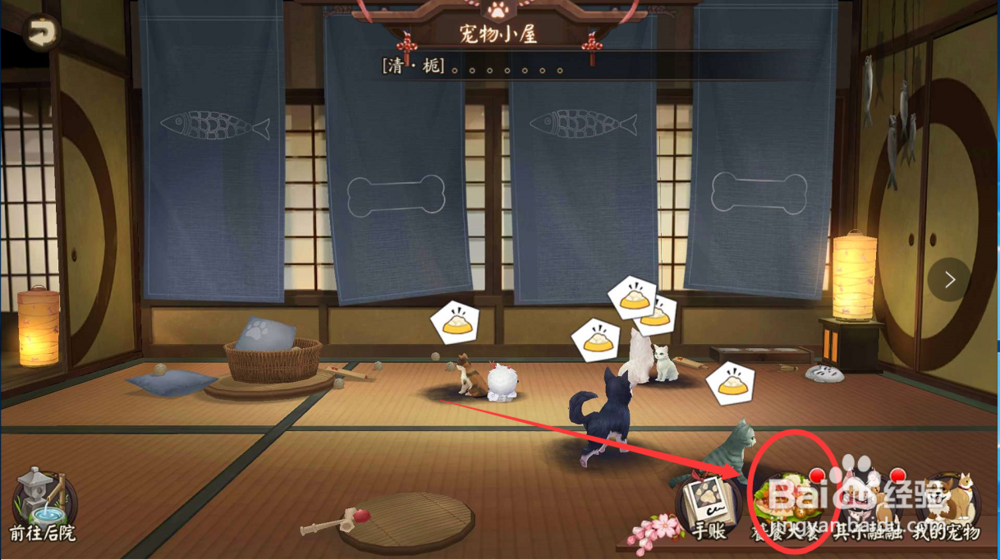 阴阳师怎么给收养的小宠物喂食