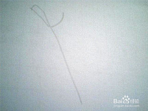 简笔画枫叶的画法