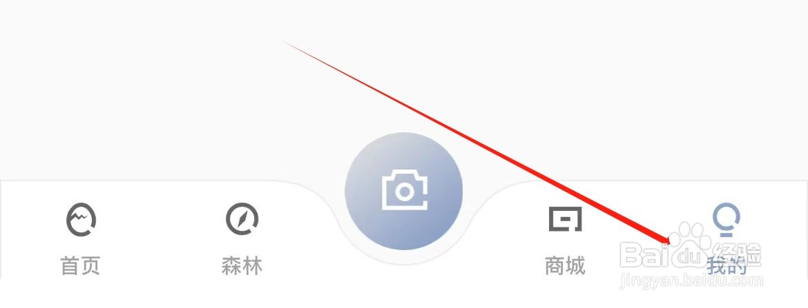 集宠区如何进入我的认证