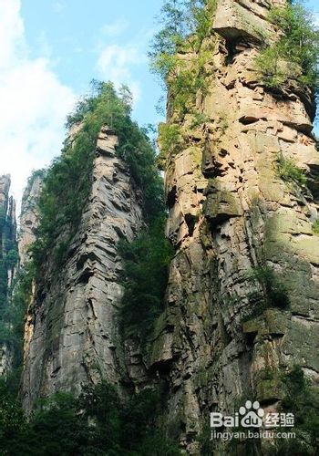 寒假去张家界自助游贴士