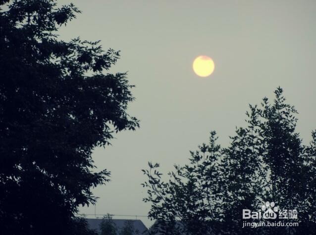 模块创新为刀锋注入新灵魂 Moto Z 深度评测