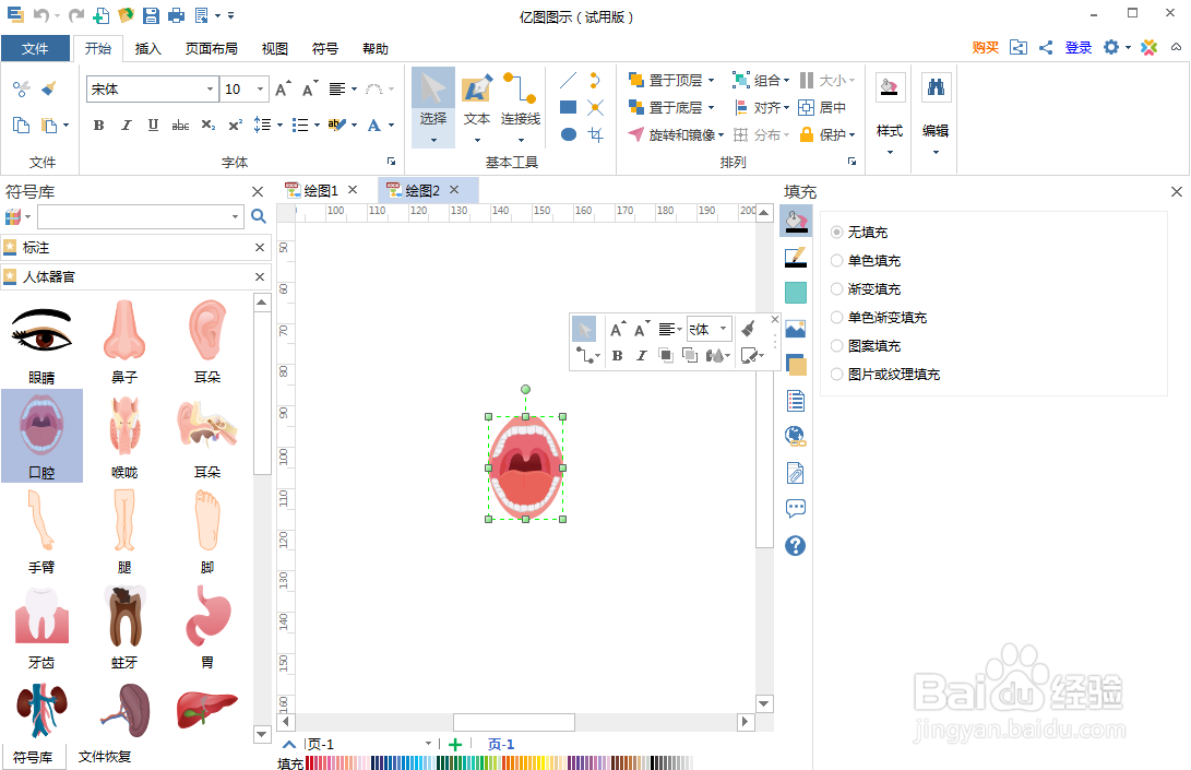 如何在亿图图示中创建口腔图