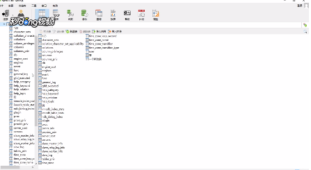 Navicat for MySQL中如何管理和维护表